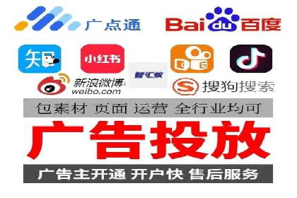 某知名品牌SEM运营策略及效果评估